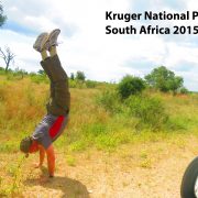 2015 South Africa Kruger National Parc